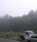 m4809.jpg