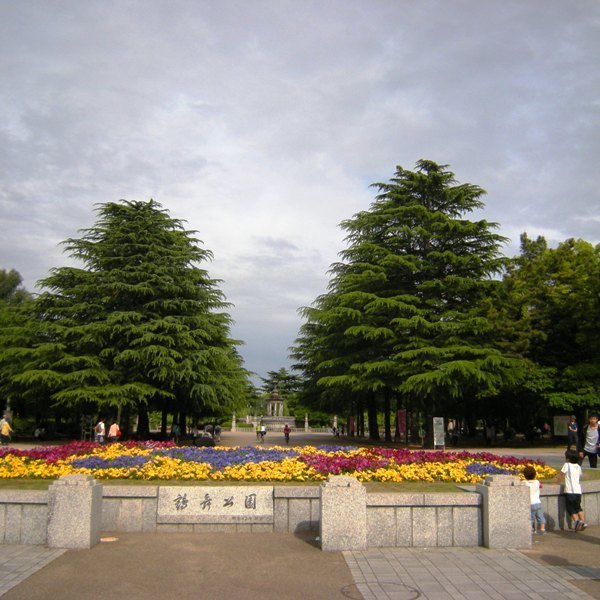 鶴舞公園は美しい花の季節の真っ只中 音の細道 楽器片手に行雲流水